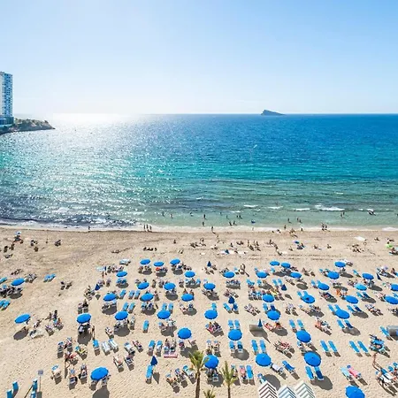 Veracruz 11 Benidorm